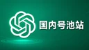 号池站 1件也是代理价 ChatGPT Plus国内直连-月会员兑换码【质保30天】
